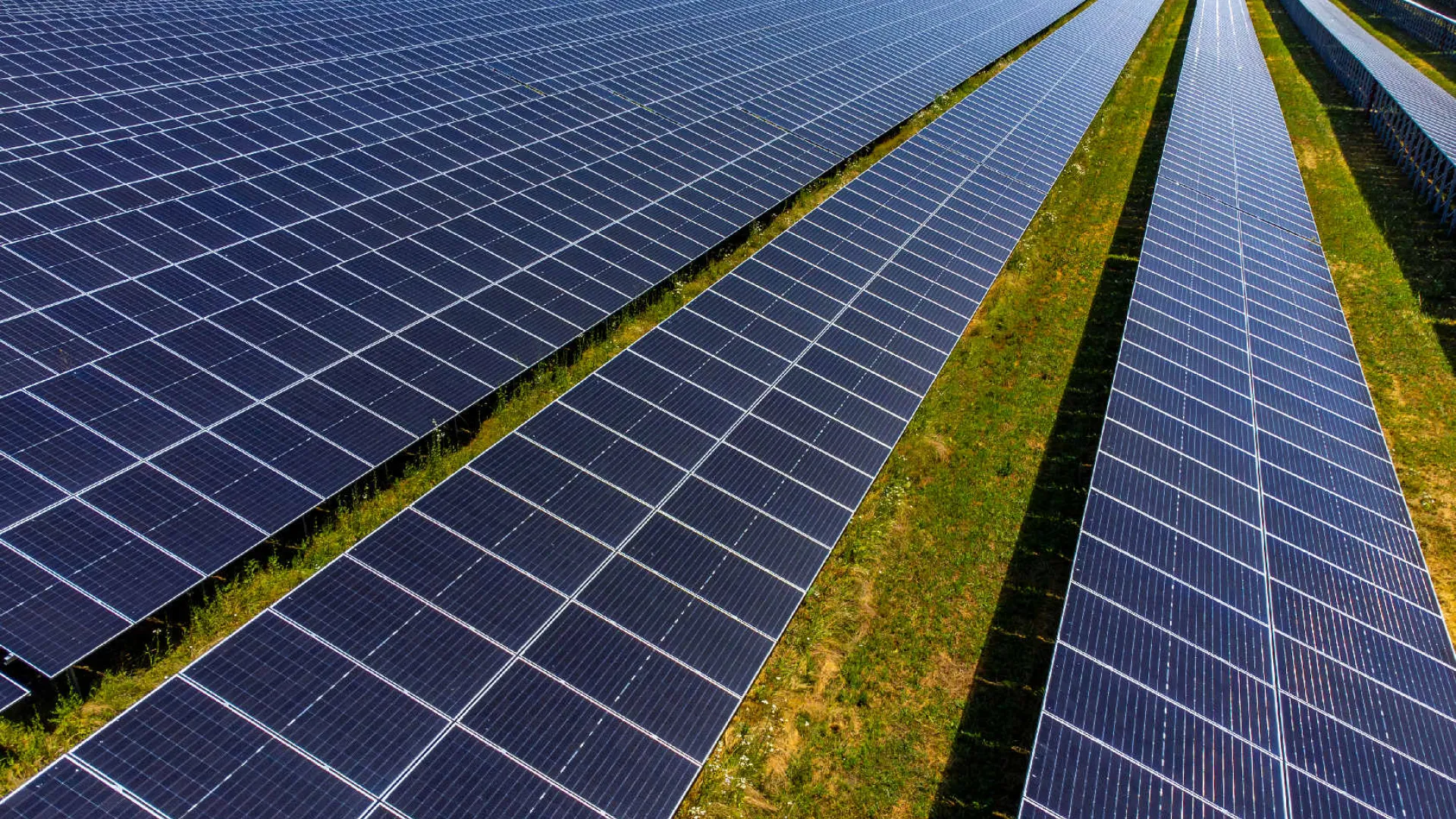 EDP inaugurează cel mai mare parc solar al său din România | edp